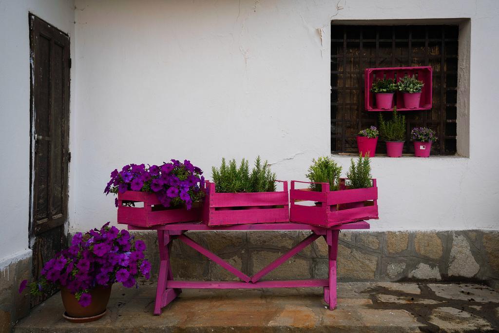 Agriturismo Cascina Del Vai كايرو مونتينوت المظهر الخارجي الصورة
